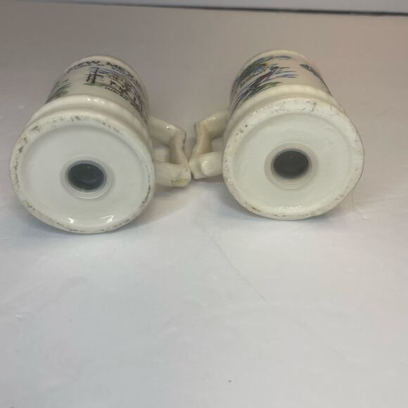 Vintage New Mexico Land of Enchantment Salt & Pepper Shakers Roadrunners - Picture 5 of 7